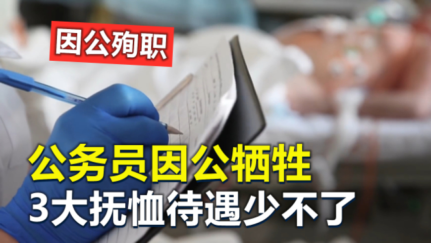 2025澳门天天六开彩免费资料十二生肖弱肉强食,00后老板请所有女员工做美甲,整体规划执行讲解_粉丝版V11.7
