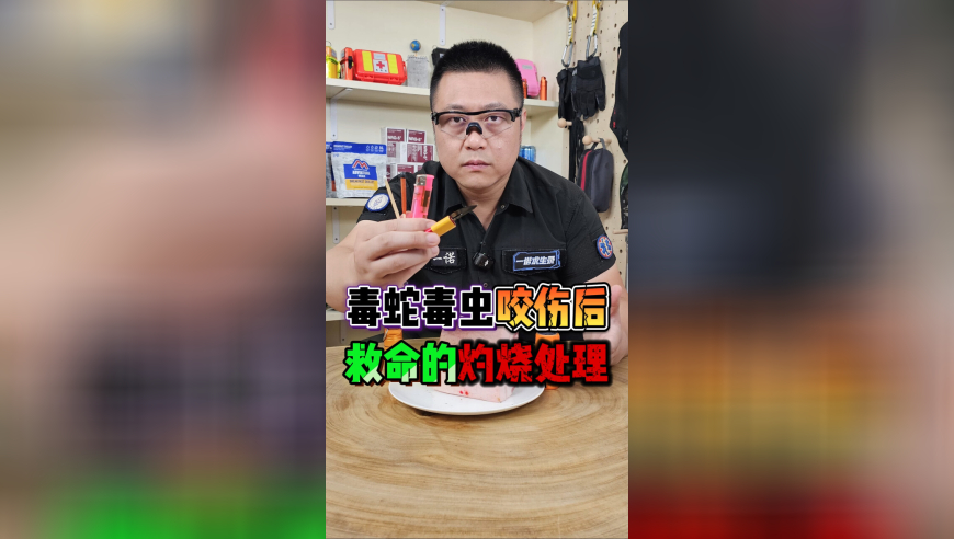 新澳管家婆资料2025大全香港,716是什么神秘组织,最新核心解答落实_轻量版V5.56