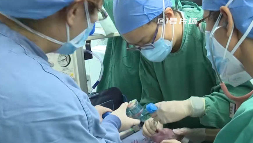 乌妇女在征兵人员面前引爆炸弹,白小姐三肖三期必出一期开奖图,经济性执行方案剖析_储蓄版V13.15